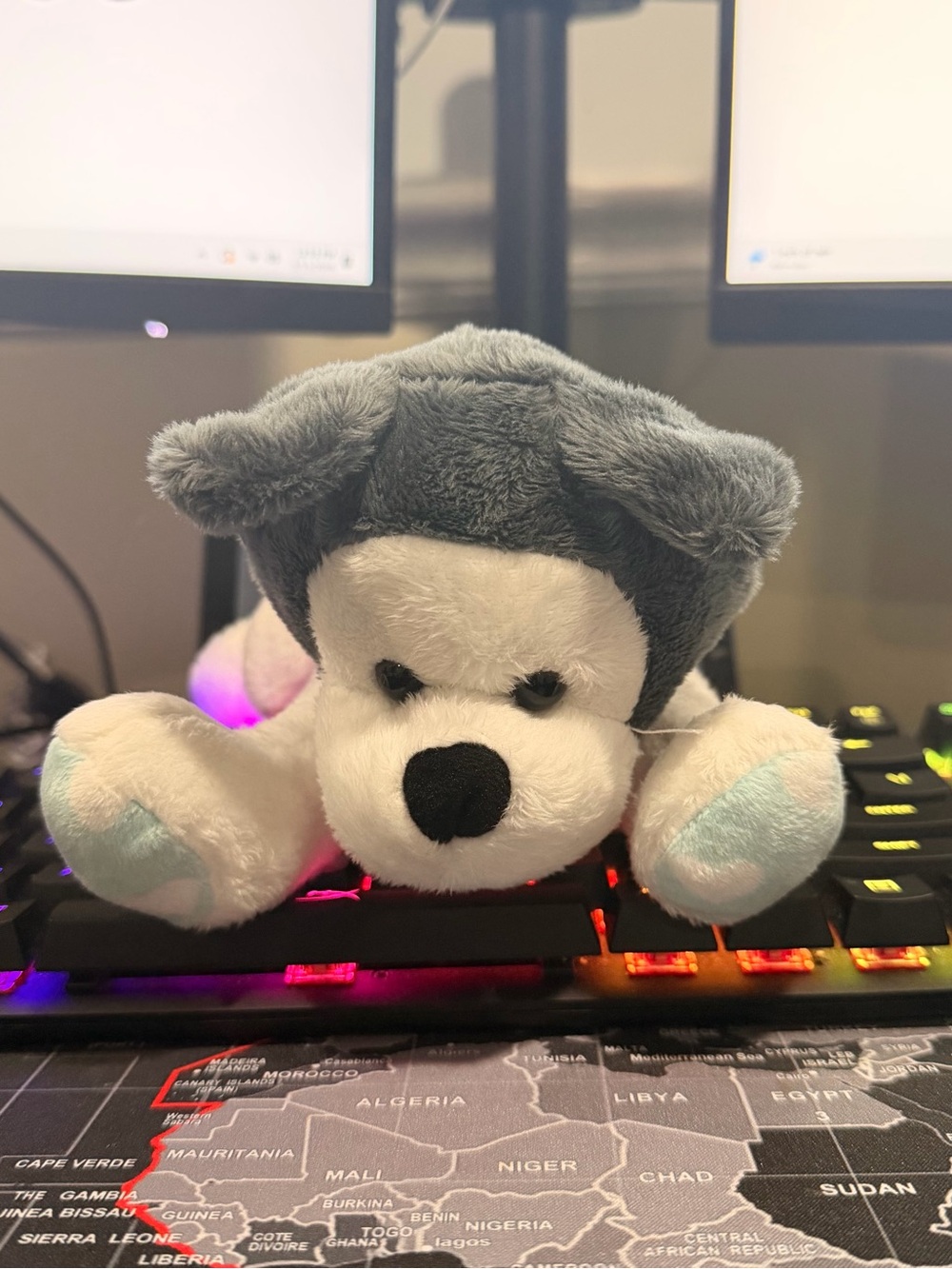 Gray and White Plush Husky with Teal Paw Accents